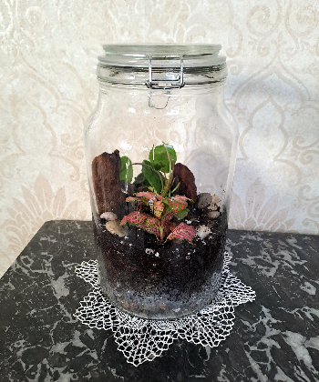 Rastlinné terárium